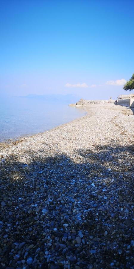 Loft 20m From Sea Apartment Melission